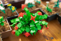 Origami_4