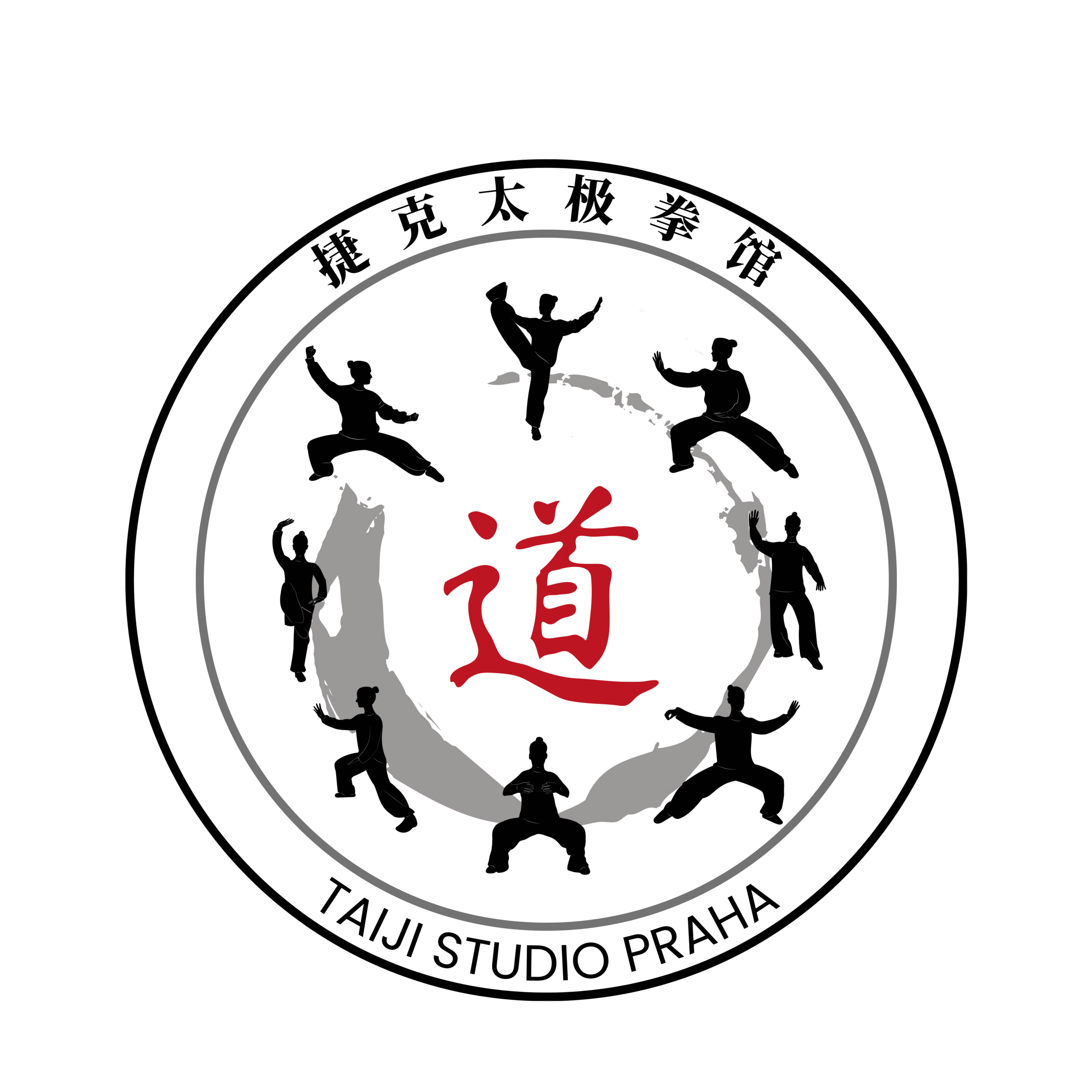 Martina Slaba, Taiji Studio