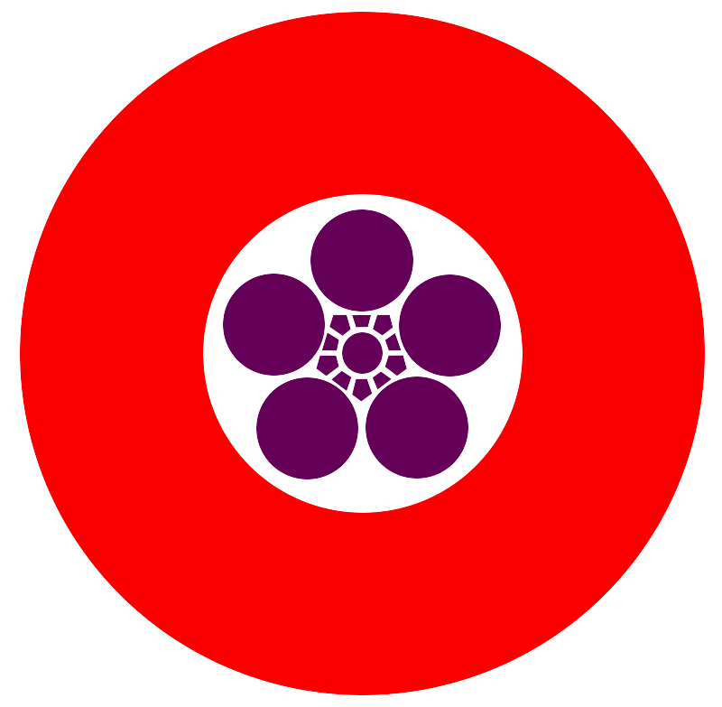 Hiko Ryu Taijutsu